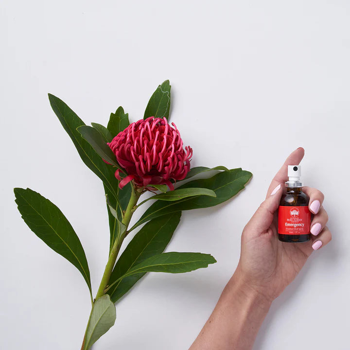 Emergency Essence - 5 Piece Gift Set