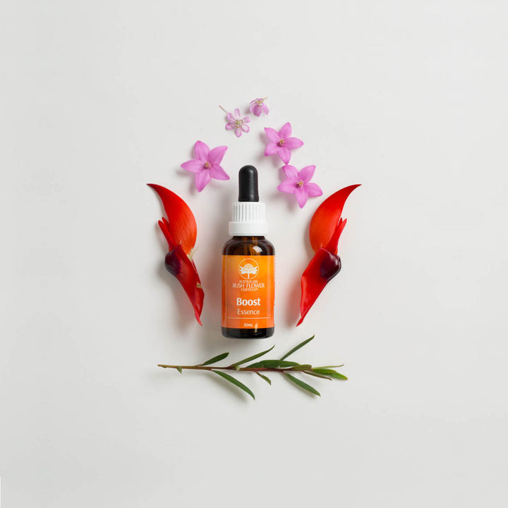 Boost Essence 30ml