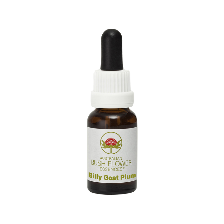 Billy Goat Plum