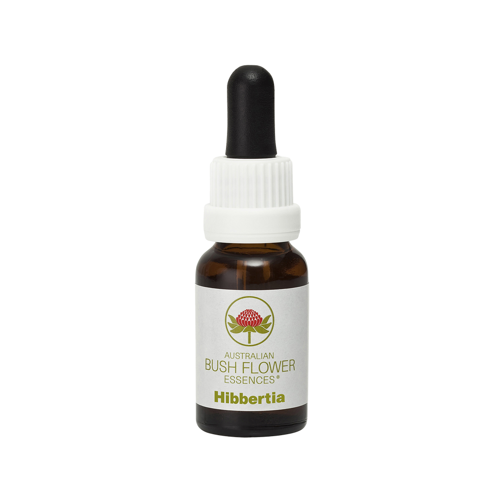 Hibbertia - Australia – Australian Bush Flower Essences
