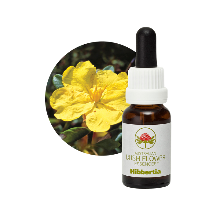 Hibbertia - Australia