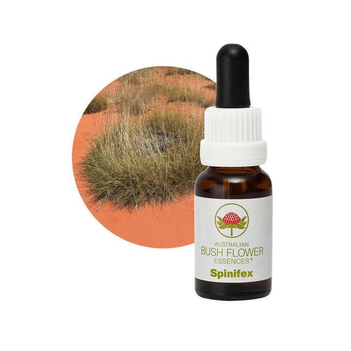 Spinifex - Australia