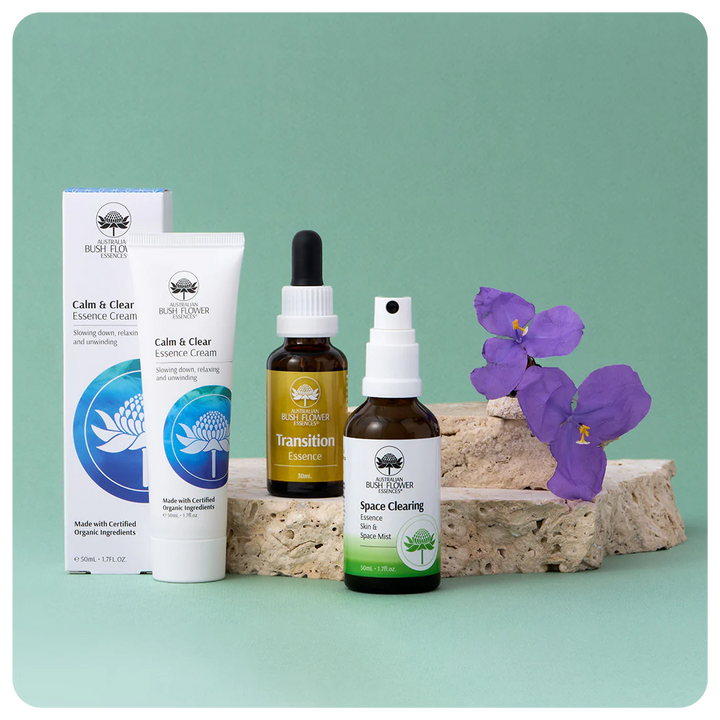 Fresh Start Bundle
