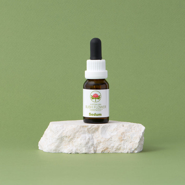 Introducing Sedum, an exciting and unique addition to our Single Essence collection. This healing gift from nature reflects the increasing need for bringing in the Spiritual light and uplifting the frequency on the planet. We invite you to embrace and share this special essence.