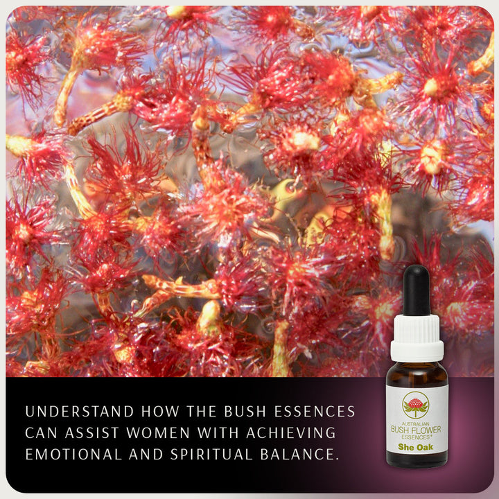 Women's Wellbeing Webinar