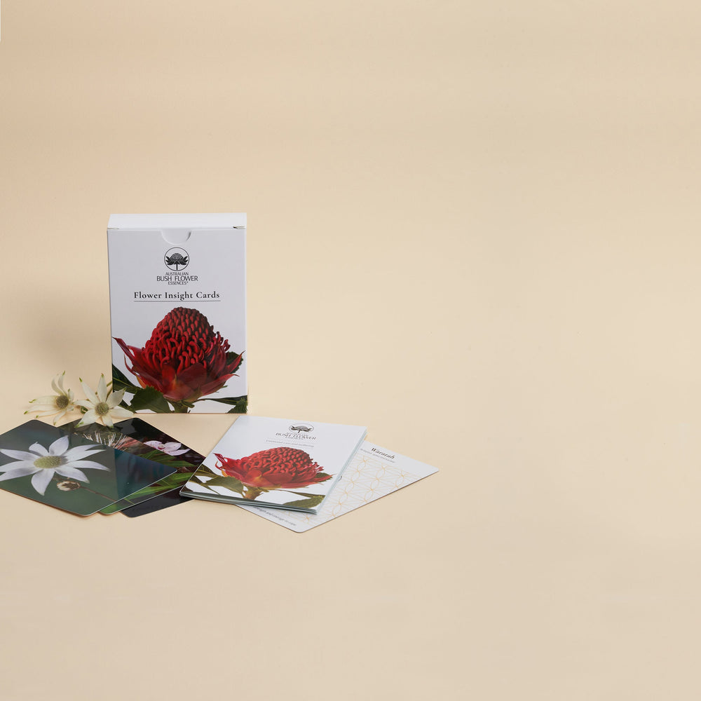 Ian's April 2023 Newsletter