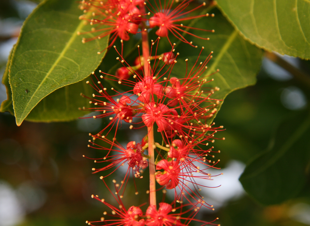 Ian's April Video Newsletter 2025