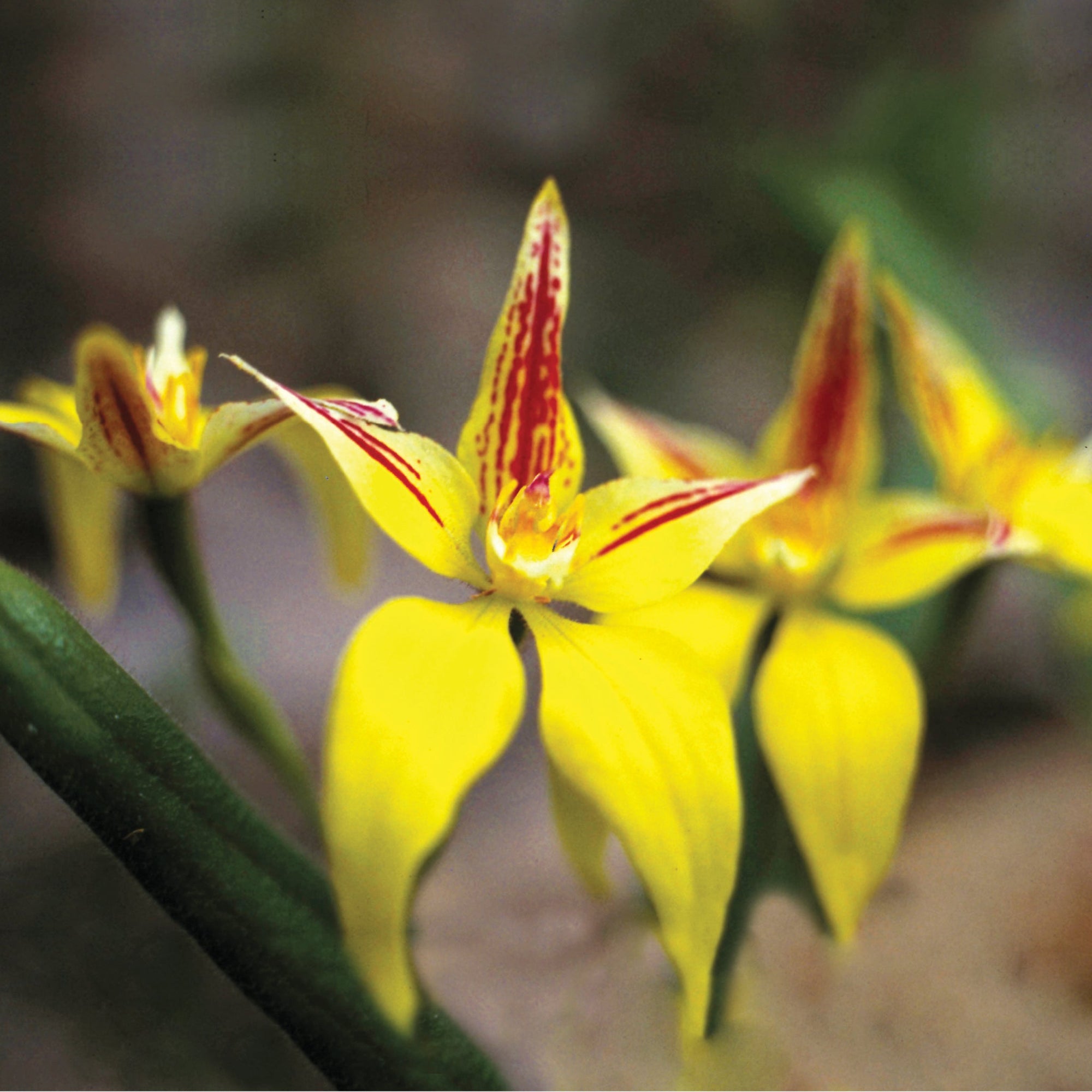 Ian's August 2022 Video Newsletter