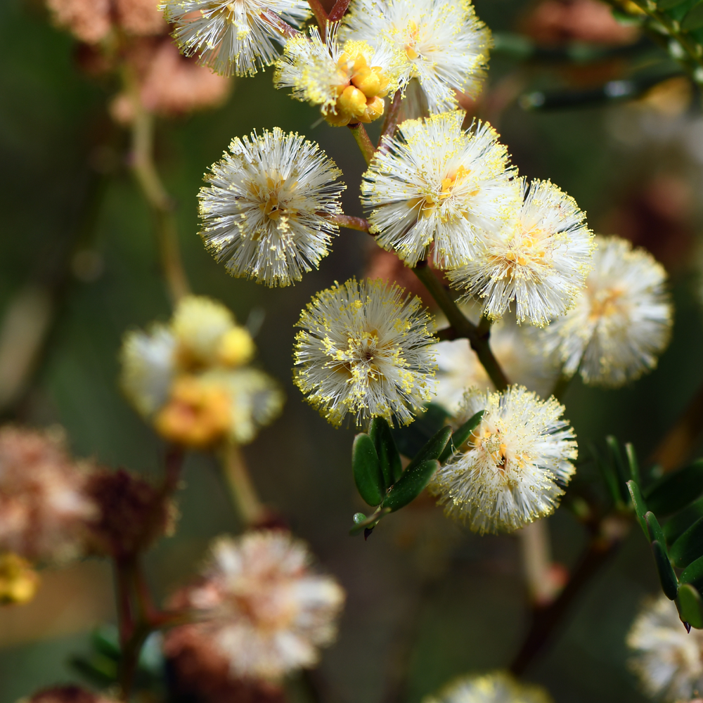 Ian's August 2024 Newsletter