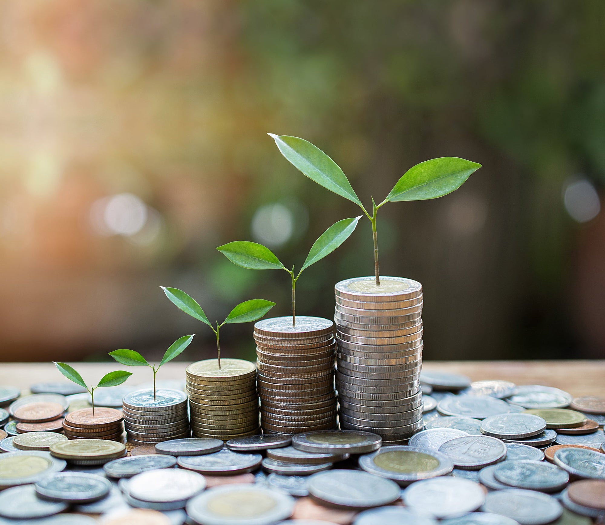 Ian's July 2022 Newsletter