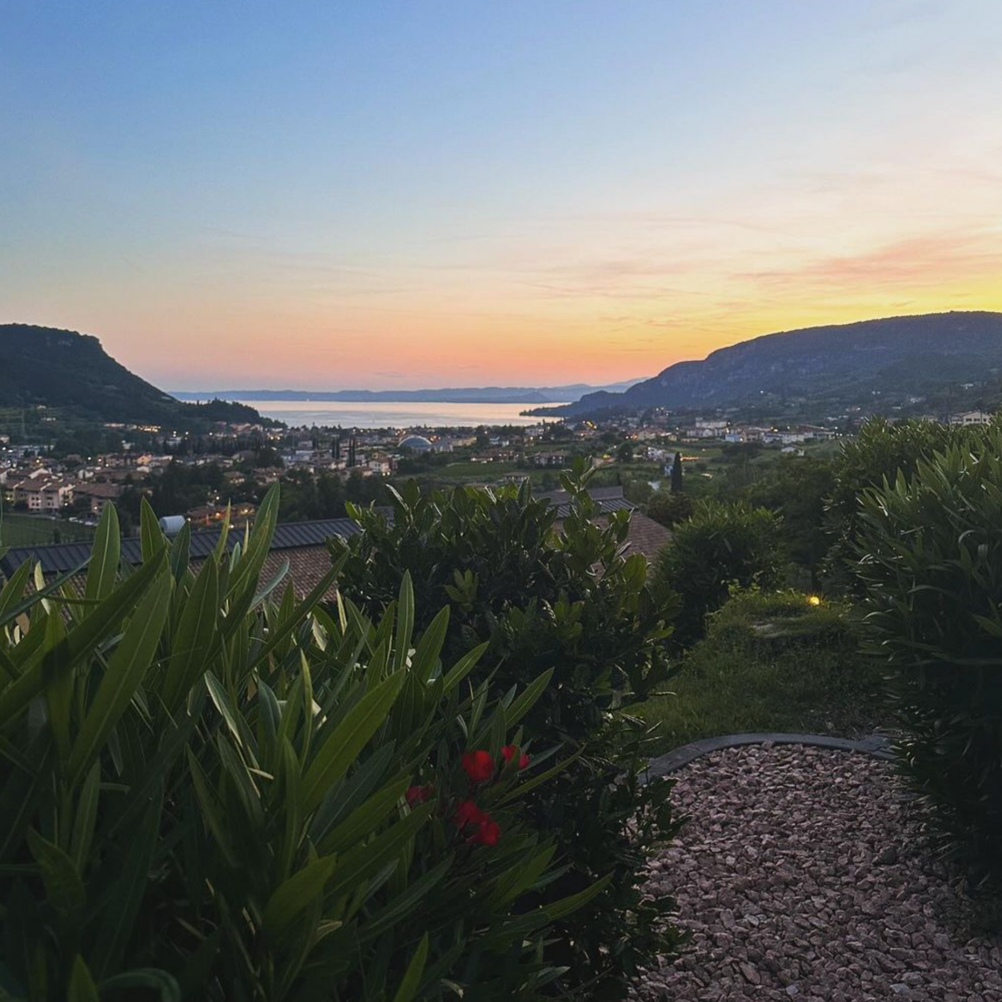 Ian's July 2024 Newsletter