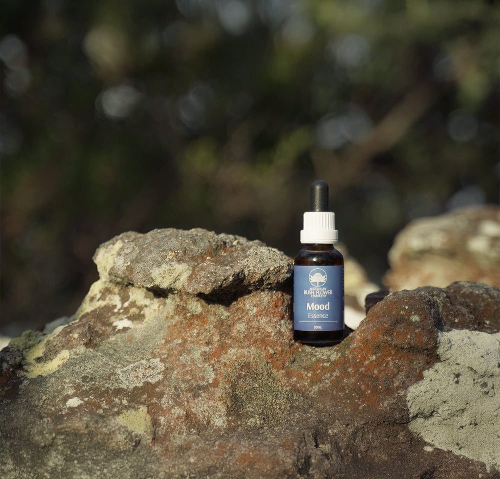 Ian's July Video Newsletter 2025