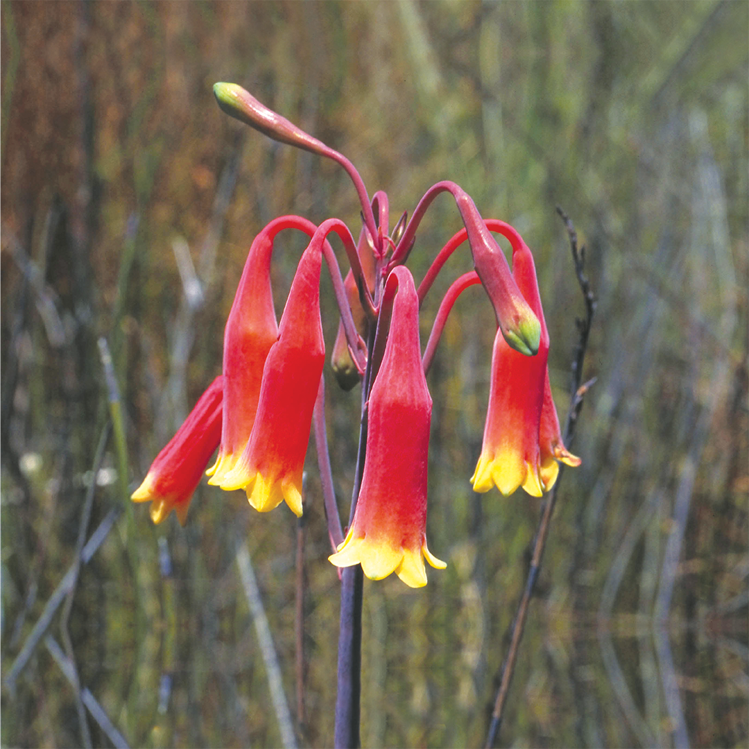 Ian's November 2023 Newsletter