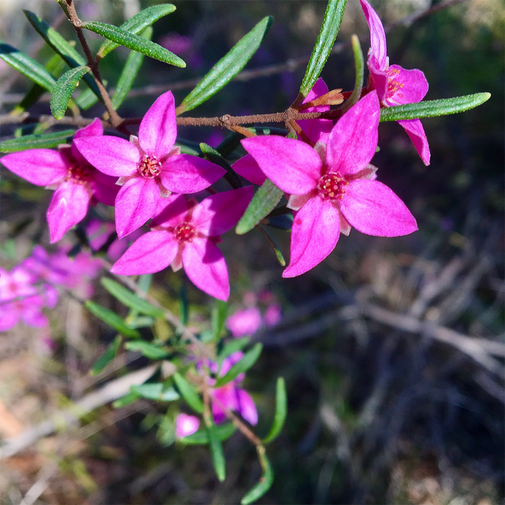 Ian's November 2023 Video Newsletter