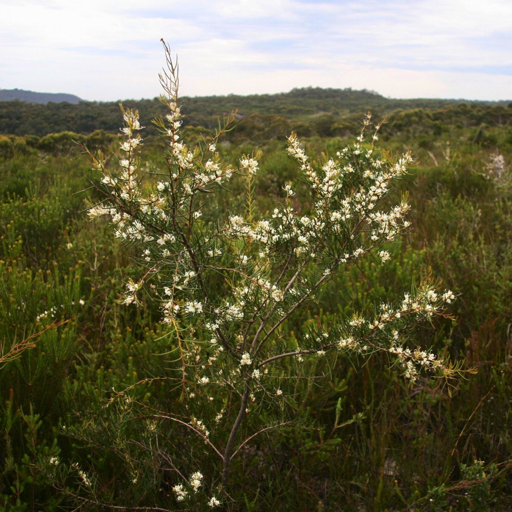 Ian's November Newsletter 2025