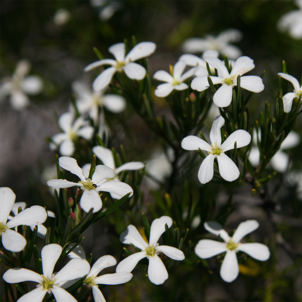 Ian’s October 2023 Video Newsletter