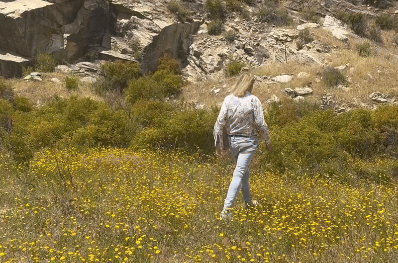 Ian’s October 2024 Video Newsletter