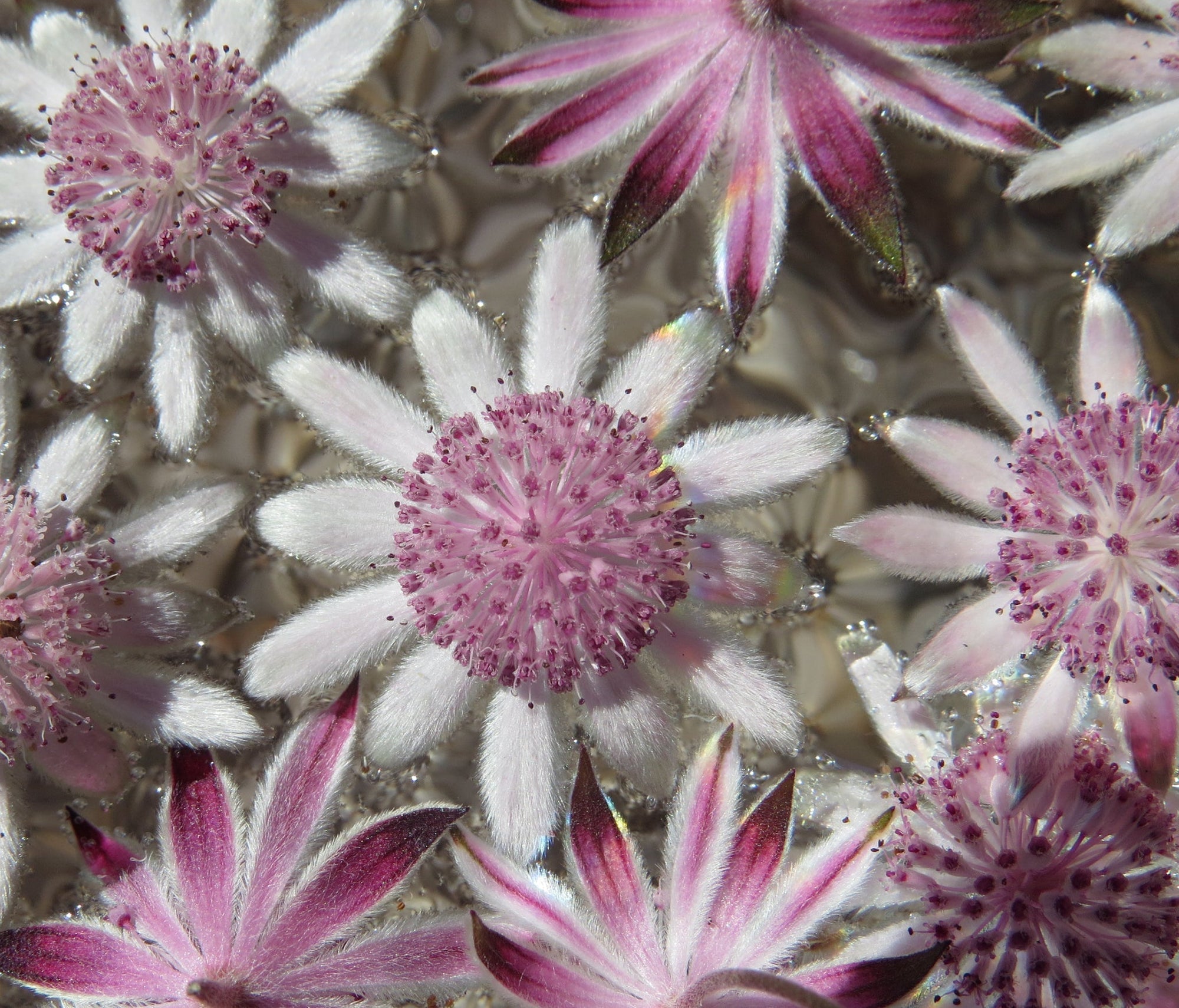 Ian's October 2025 Newsletter