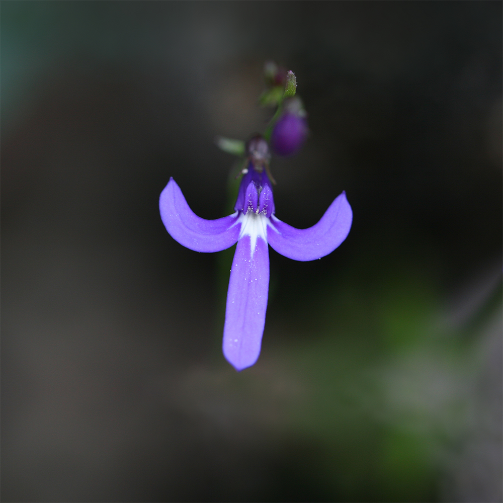 Ian's September 2023 Video Update