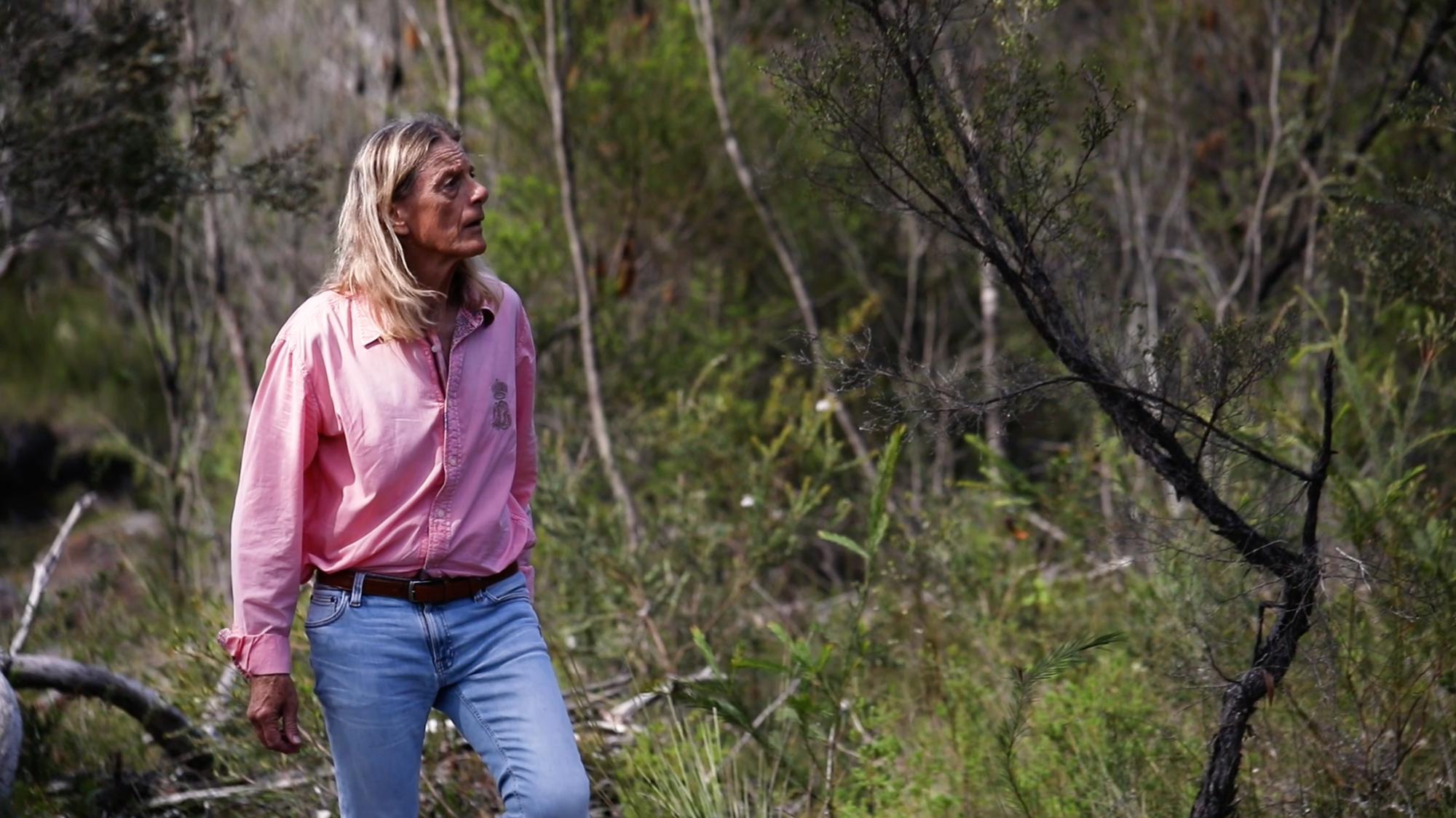 Unlocking the Potential of 2024: Introducing the 2024 Essence