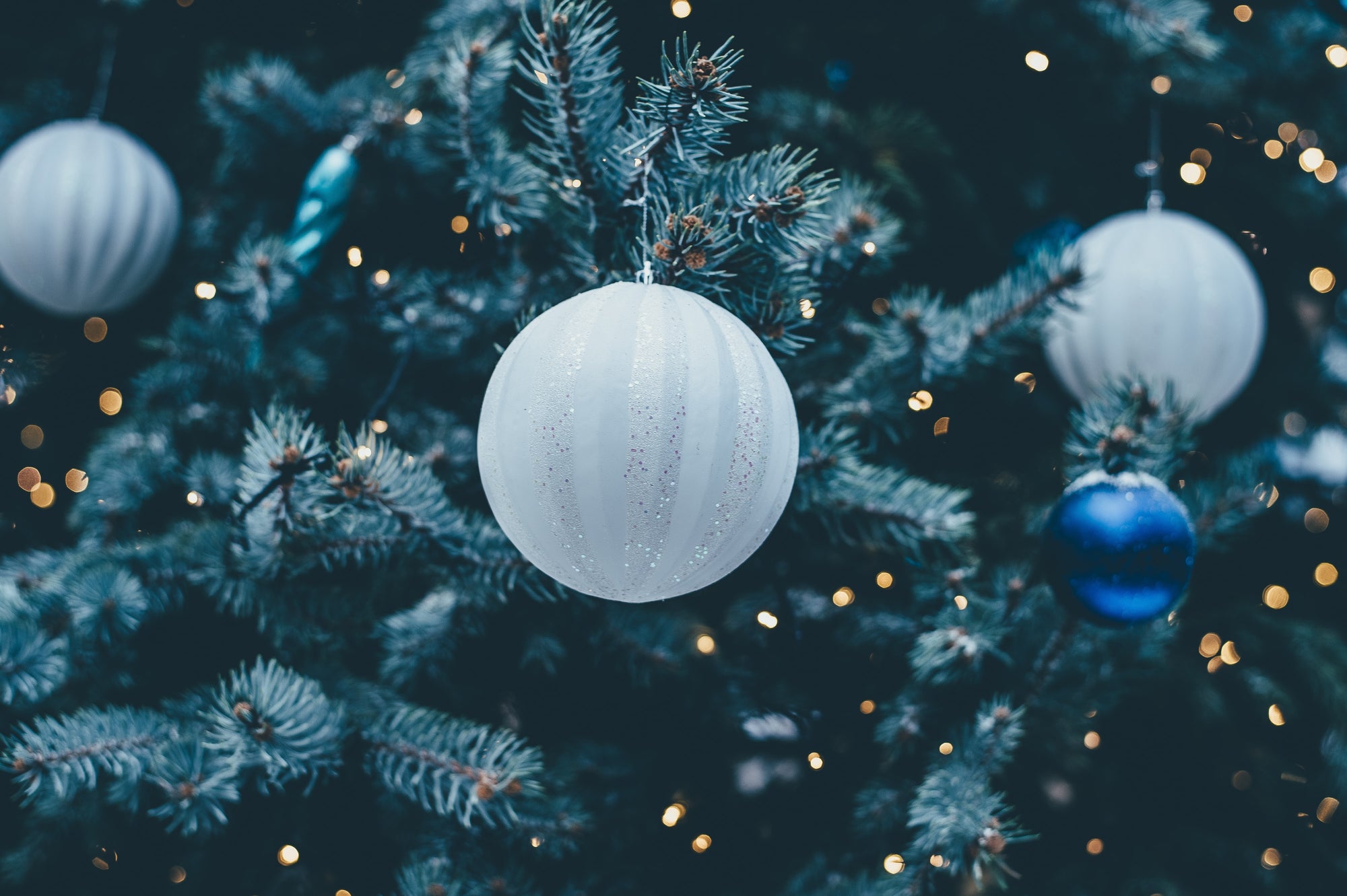 Australian Bush Flower Essences’ Christmas Feature