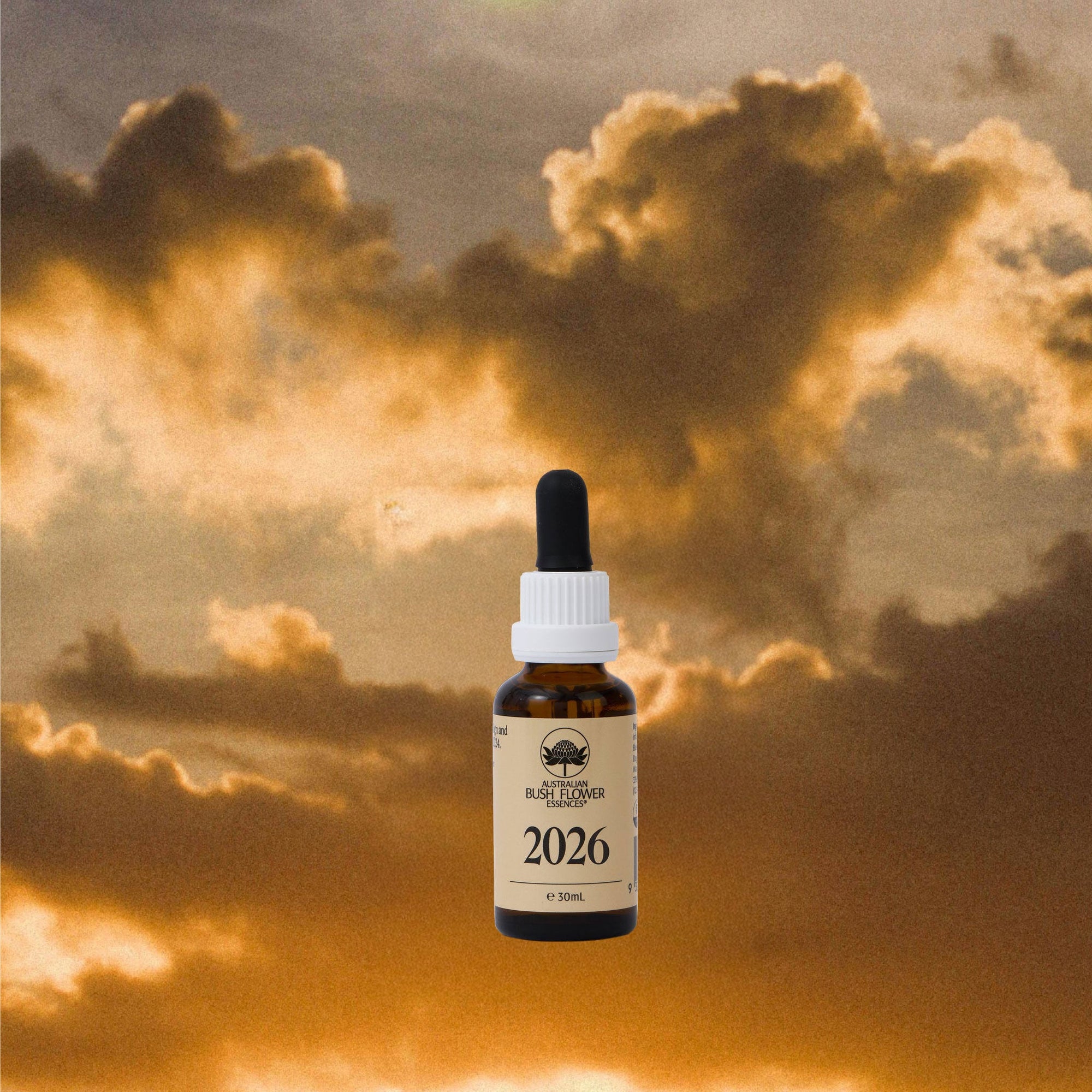 Begin With Intention. End With Clarity.