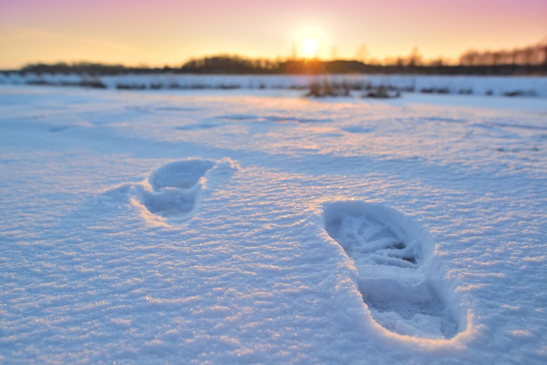 December travel advice from Ian
