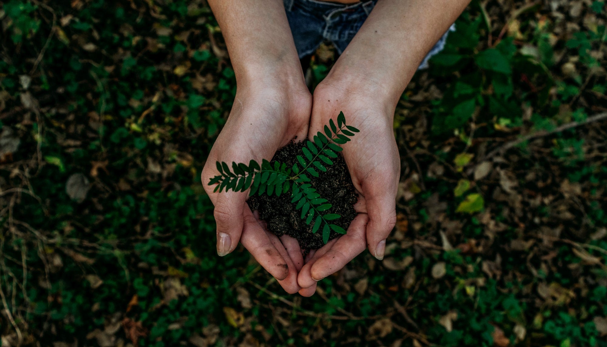 Celebrating Earth Day with ABFE