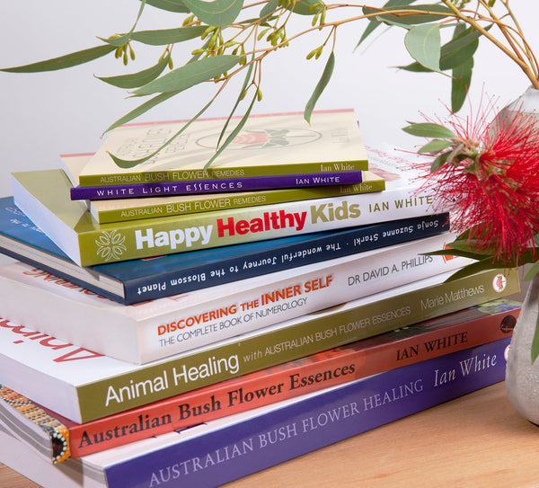 Books, Cds & DVD Collection Image