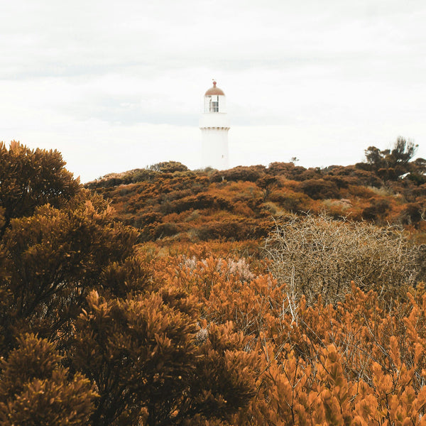 Moving with the Seasons