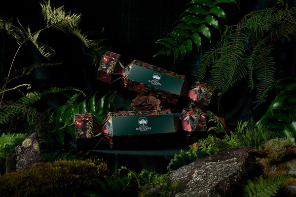 Give the gift of wellness this festive season with Australian Bush Flower Essences.