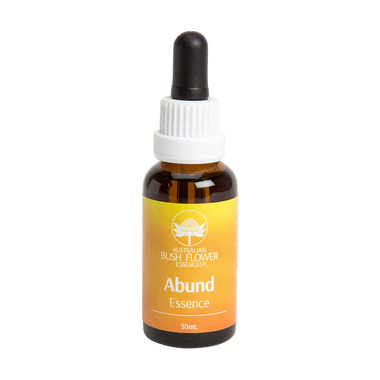 Abundance & Creativity Gift Set