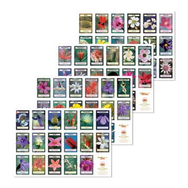 Posters x 4 (Insight Cards)