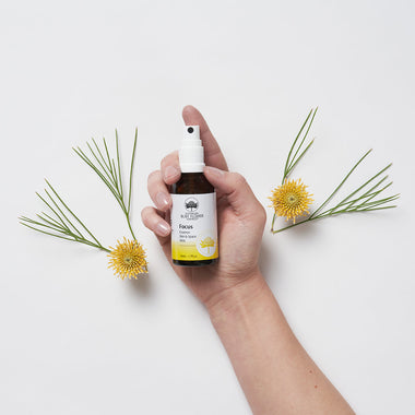 Focus Space Mist 50ml - Organic