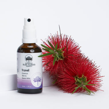 Travel Space Mist 50ml - Organic
