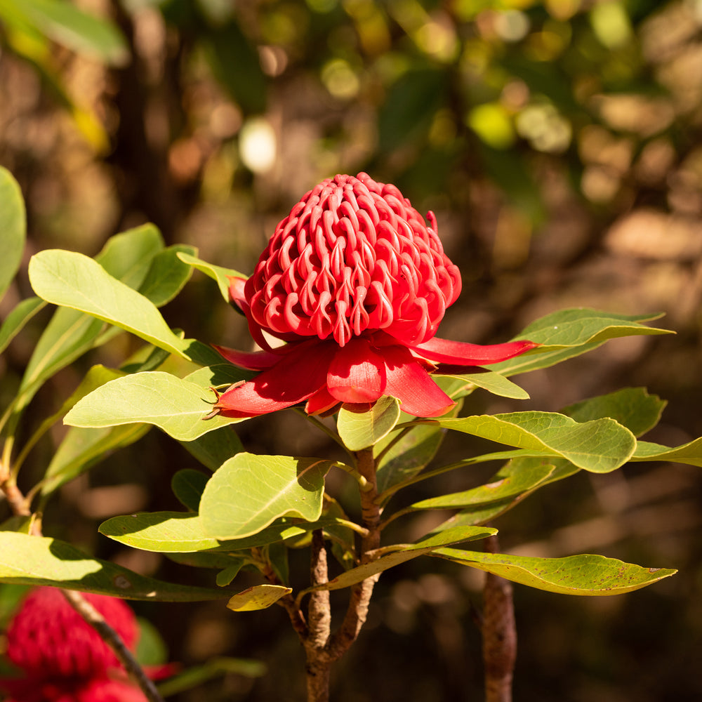 Ian's April 2026 Video Newsletter