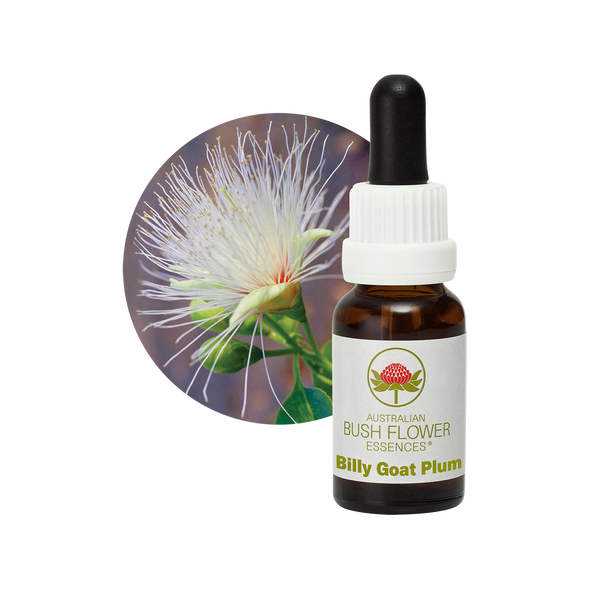 Billy Goat Plum