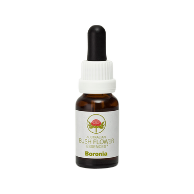 Boronia Flower Essence helps resolve stuck thoughts, events or ideas, bringing clarity and focus. Ideal for breaking old habits, dealing with ended relationships and enhancing creative visualisation for auditory or kinaesthetic individuals.