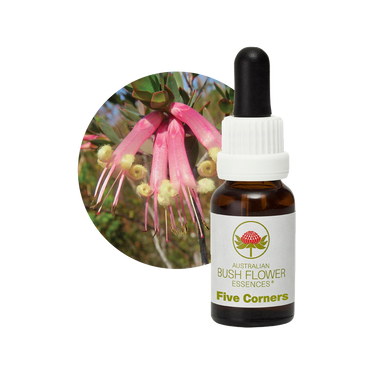 gymea lily flower essence Gymea Lily Bush Flower Essence – Australian Bush Flower Essences