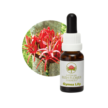 Gymea Lily Essence bottle and flowers. Designed for individuals with intense, extroverted personalities, this remedy addresses arrogance, bringing about humility and strength. Ideal for those seeking to balance their charismatic, demanding nature and reach new heights.