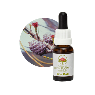 gymea lily flower essence Gymea Lily Bush Flower Essence – Australian Bush Flower Essences