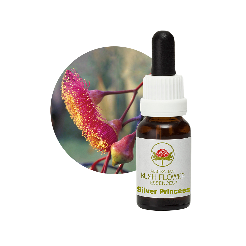 Silver Princess - Australia – Australian Bush Flower Essences