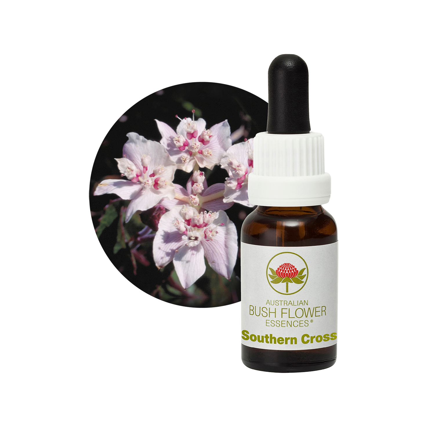 Southern Cross - Australia – Australian Bush Flower Essences