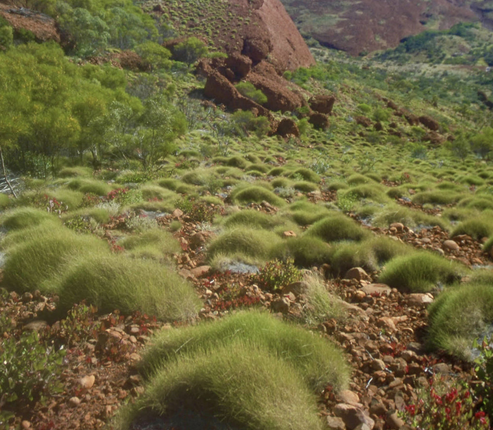 Ian's August Video Newsletter 2026