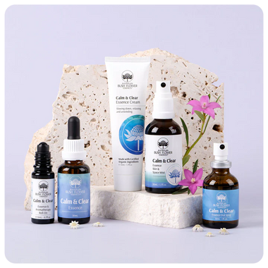 Calm & Clear Essence Gift Bundle