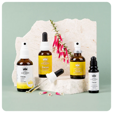 Focus Essence Collection Gift Set