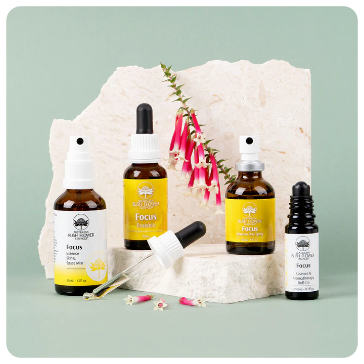 Focus Essence Collection Gift Set