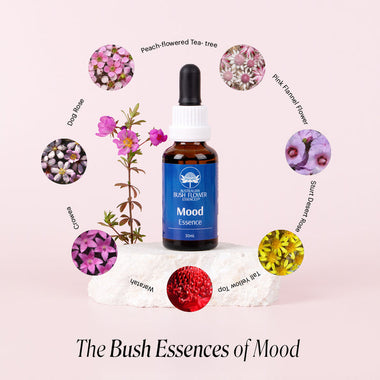 Mood Essence 30ml