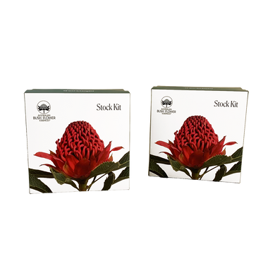 2 Replacement Stock Kit Boxes - Australia