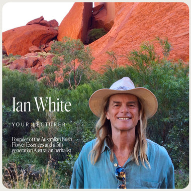 Image of Ian White hosting the Numerology Workshop. Discover the energetic influence of numbers, understand personality traits, and find direction in life through numerology. Learn to choose Bush Essences for various chart aspects.